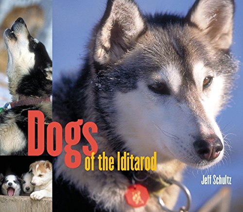 Dogs of the Iditarod - 9517