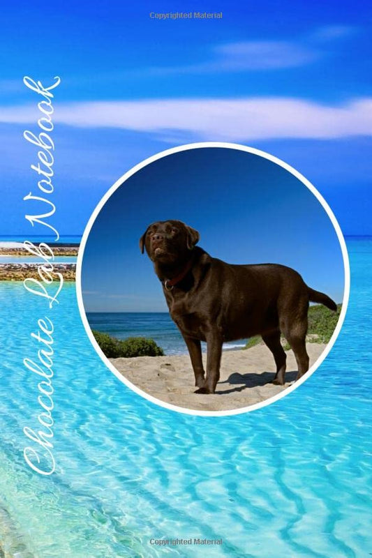 Chocolate Labrador Notebook: The COLOR Notebook For Dog Lovers (Chocolate Labs Notebooks) - 4891