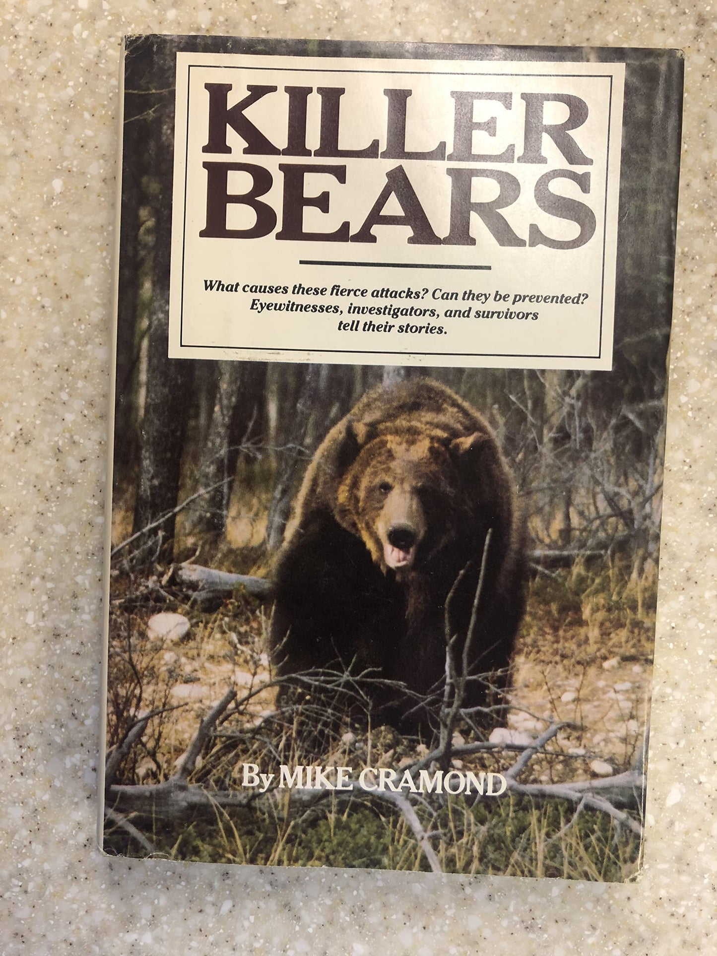 Killer Bears - 4948