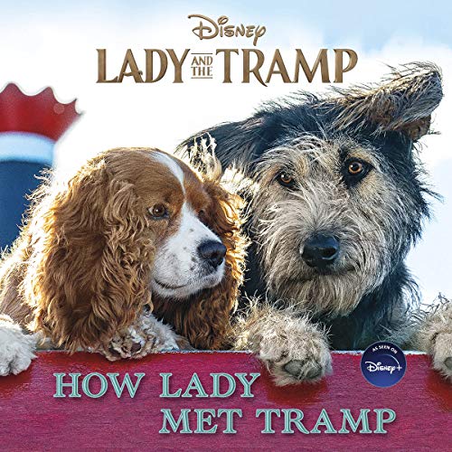 Lady and the Tramp: How Lady Met Tramp - 8690