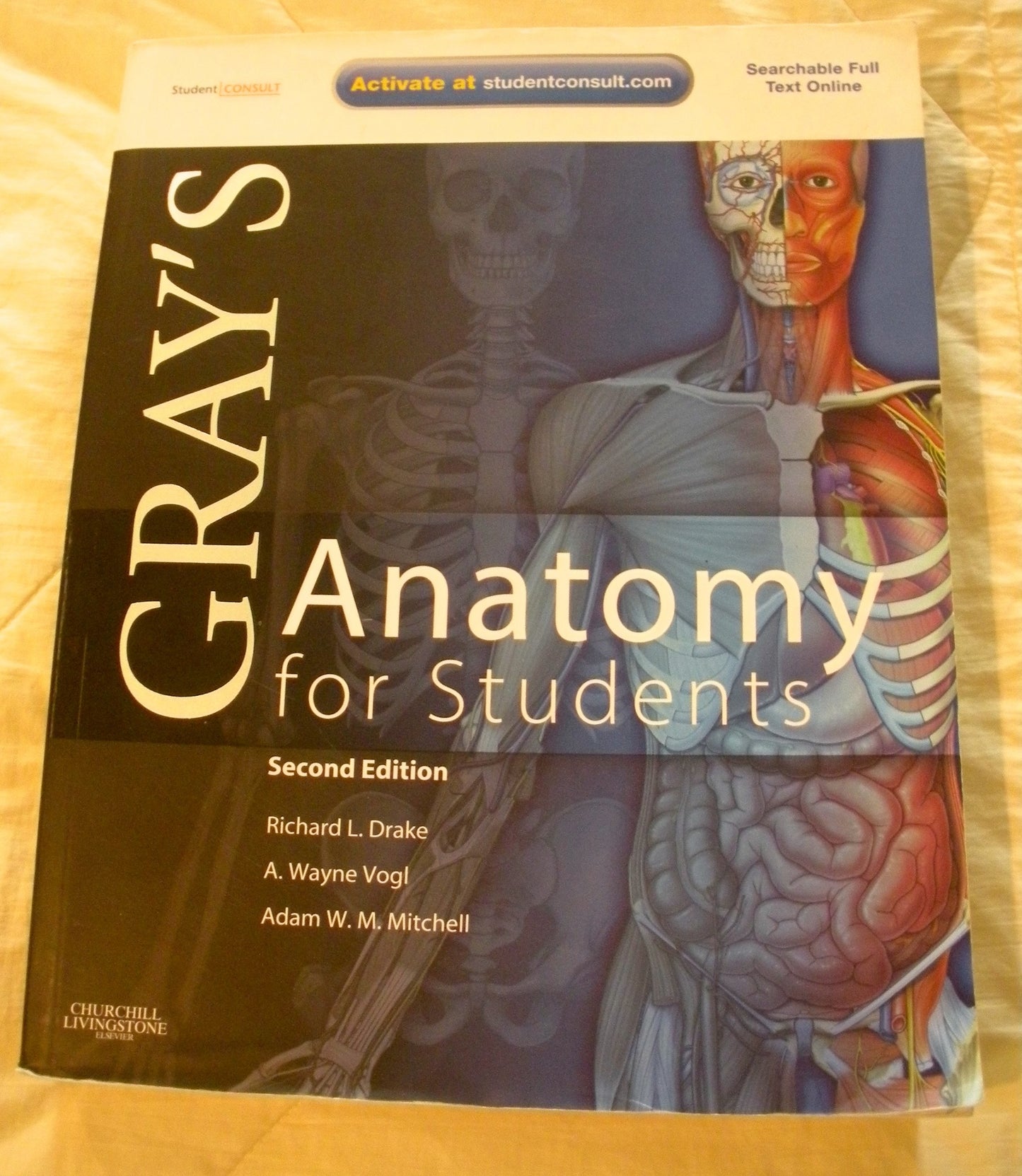 Gray's Anatomy for Students: With STUDENT CONSULT Online Access - 1269