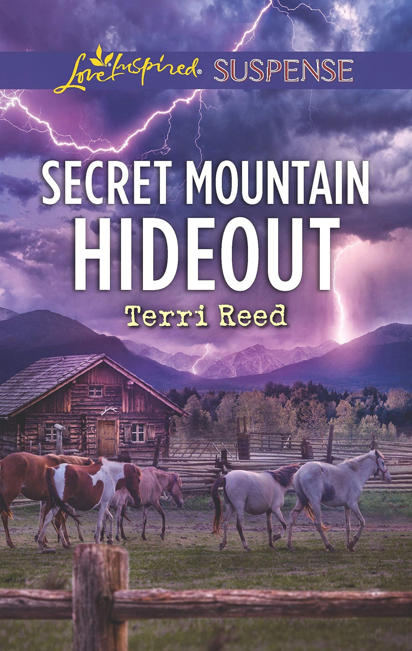 Secret Mountain Hideout (Love Inspired Suspense) - 5700