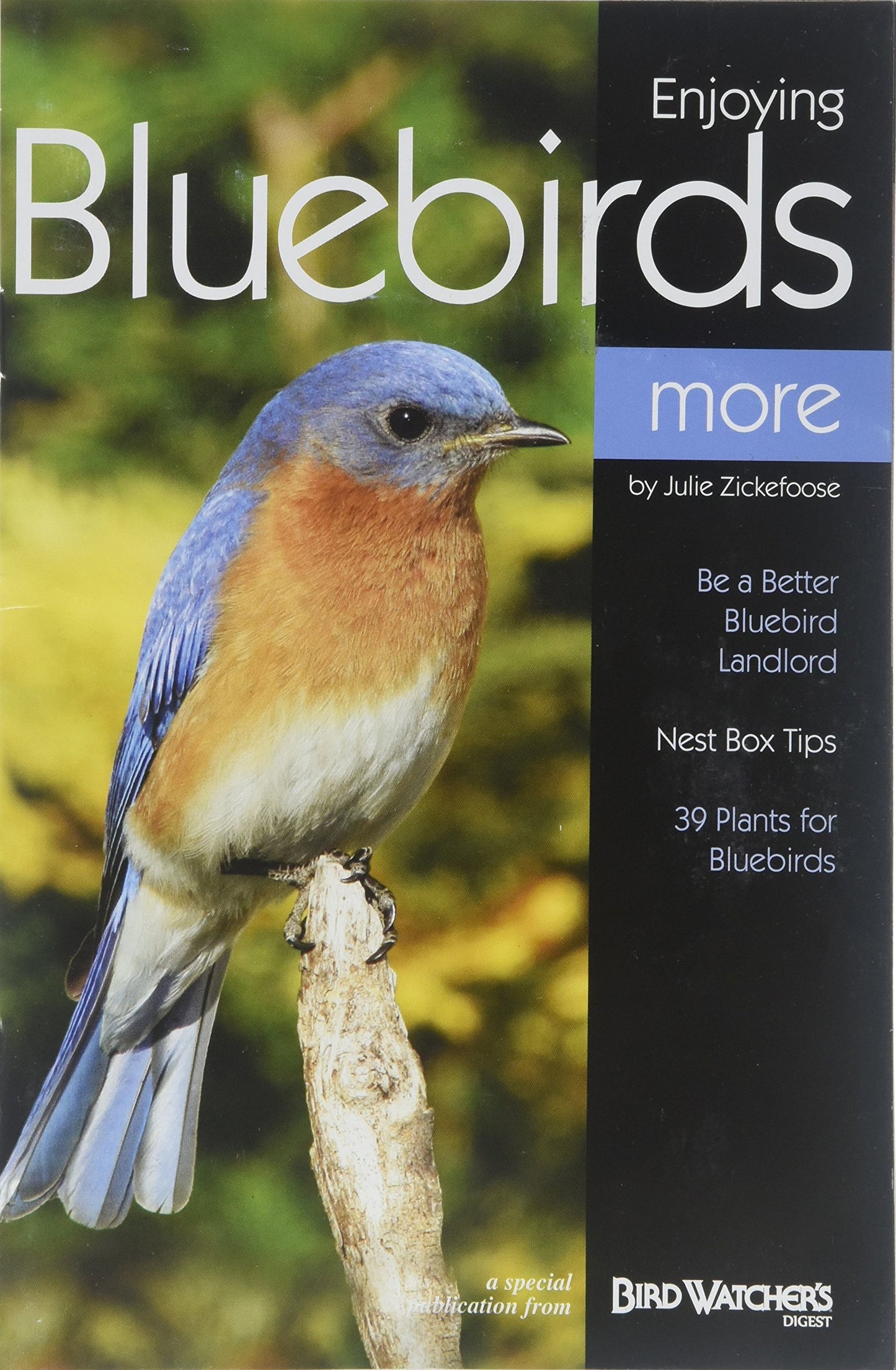 Enjoying Bluebirds More: A Special Publication from Bird Watcher's Digest - 2001