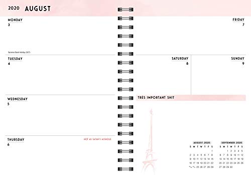 2021 C'est La F*cking Vie Planner: 17-Month Weekly Organizer (Get Shit Done Monthly, Includes Stickers, Thru December 2021) - 9245