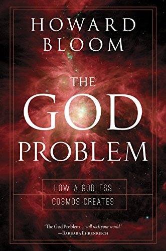 The God Problem: How a Godless Cosmos Creates - 9044