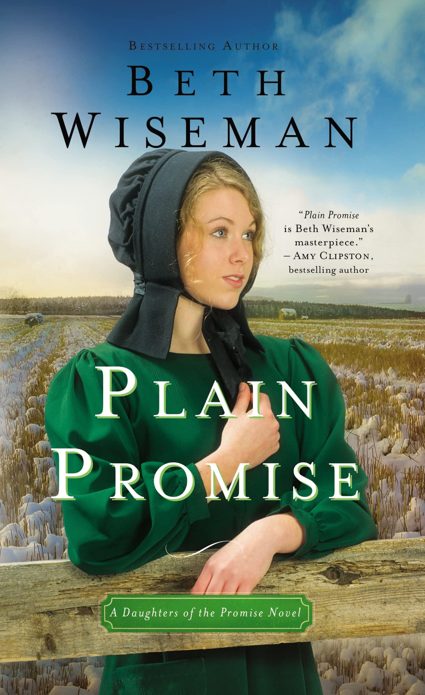 Plain Promise (A Daughters of the Promise Novel) - 6646