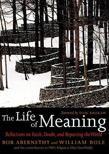 The Life of Meaning: Reflections on Faith, Doubt, and Repairing the World - 5980