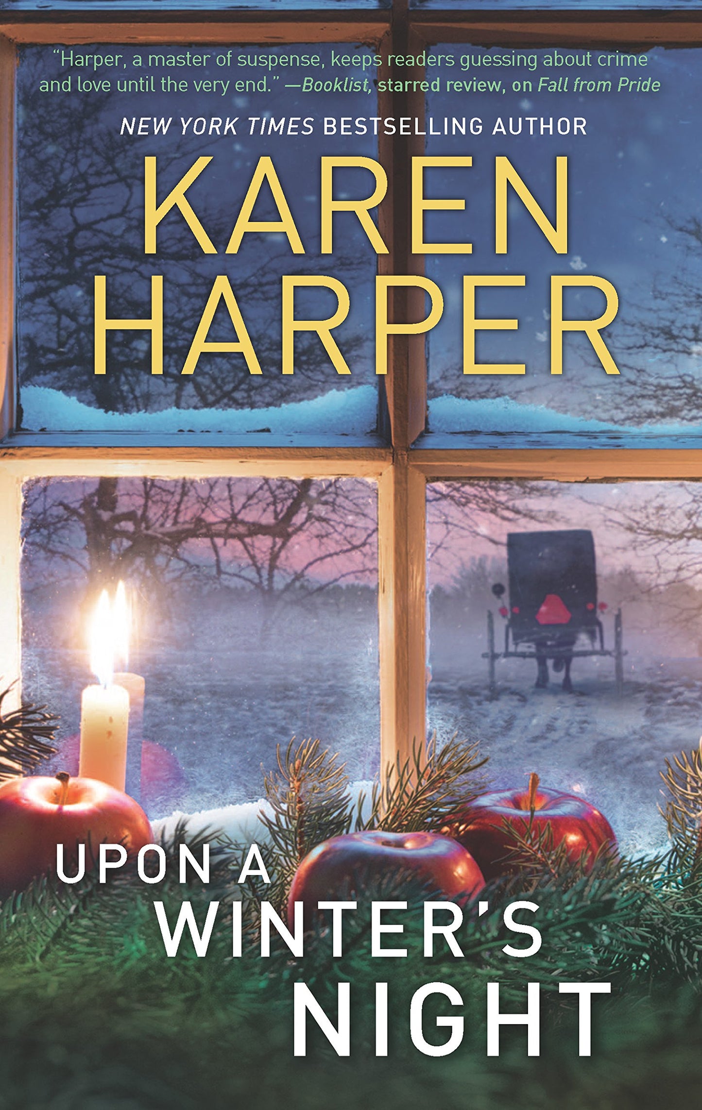 Upon A Winter's Night (The Home Valley Series, 4) - 7788