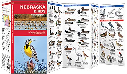 Nebraska Birds: A Folding Pocket Guide to Familiar Species (Wildlife and Nature Identification) - 9822