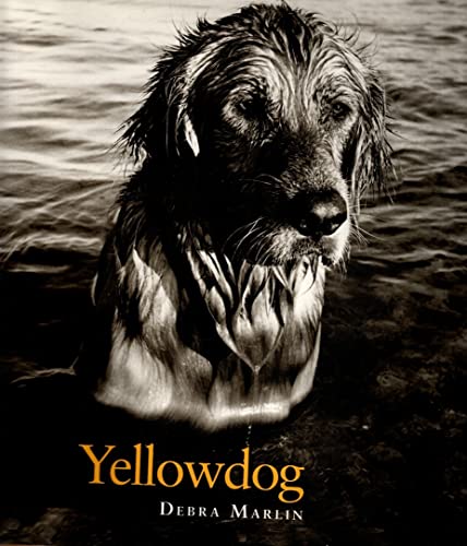 Yellowdog - 8374