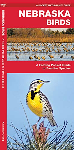 Nebraska Birds: A Folding Pocket Guide to Familiar Species (Wildlife and Nature Identification) - 9822