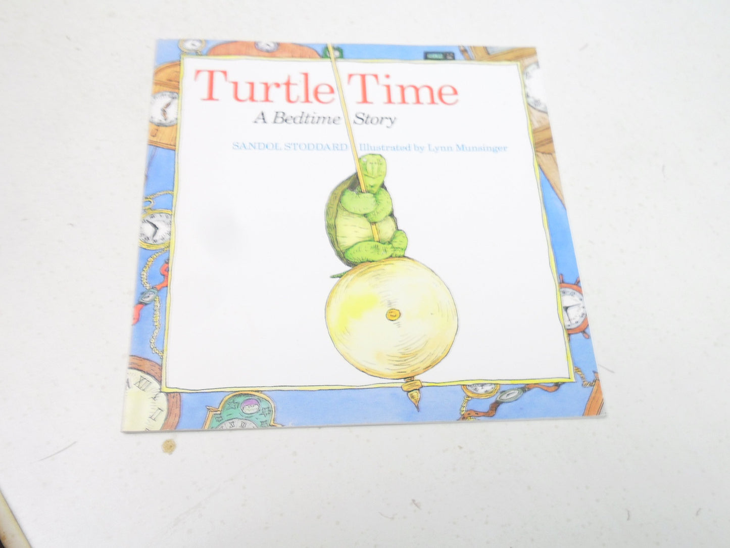 Turtle Time - 2208