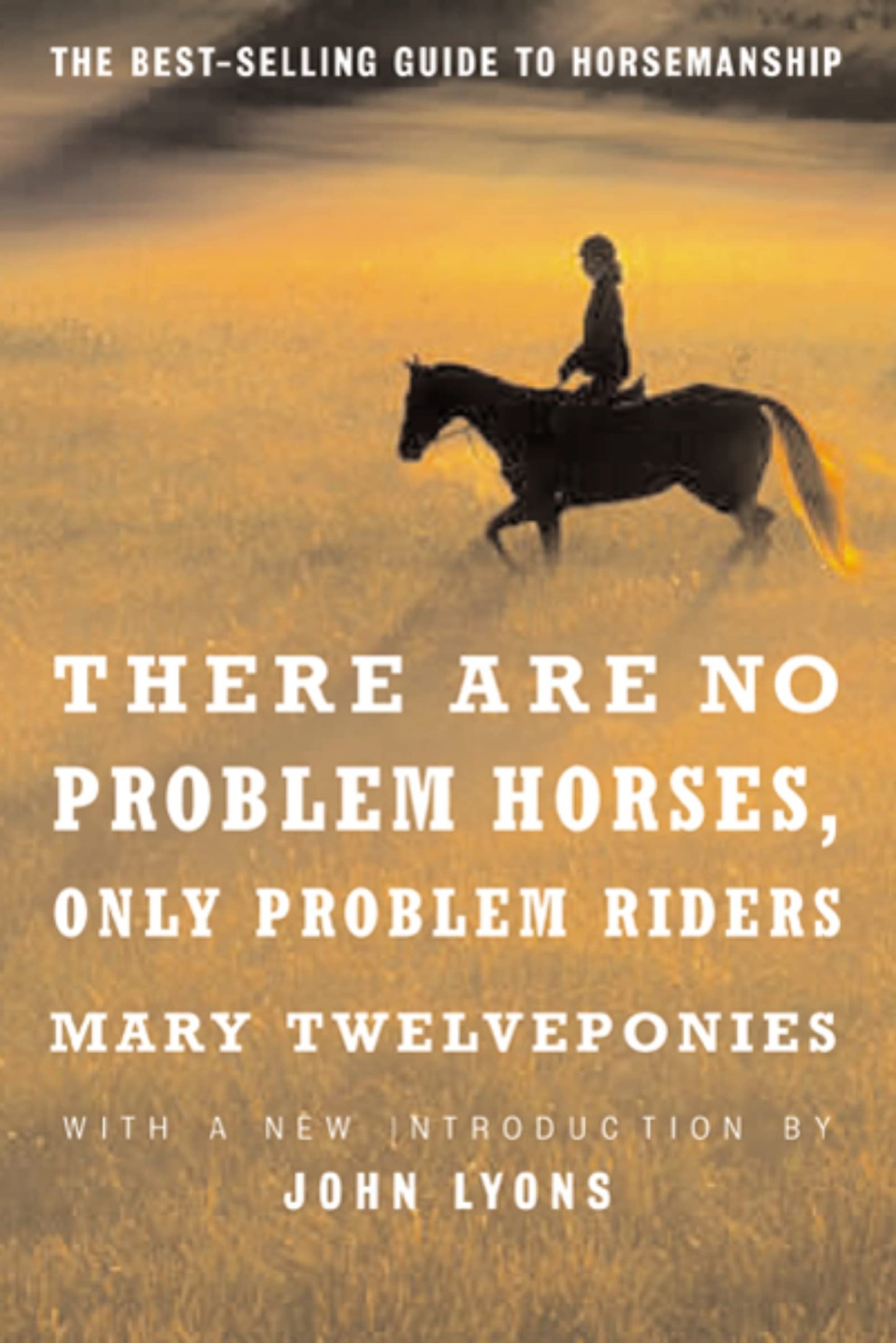 There are No Problem Horses, Only Problem Riders - 5005