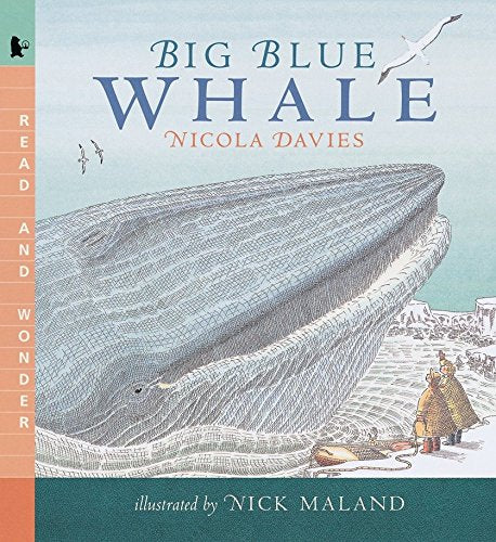 Big Blue Whale: Read and Wonder - 5233