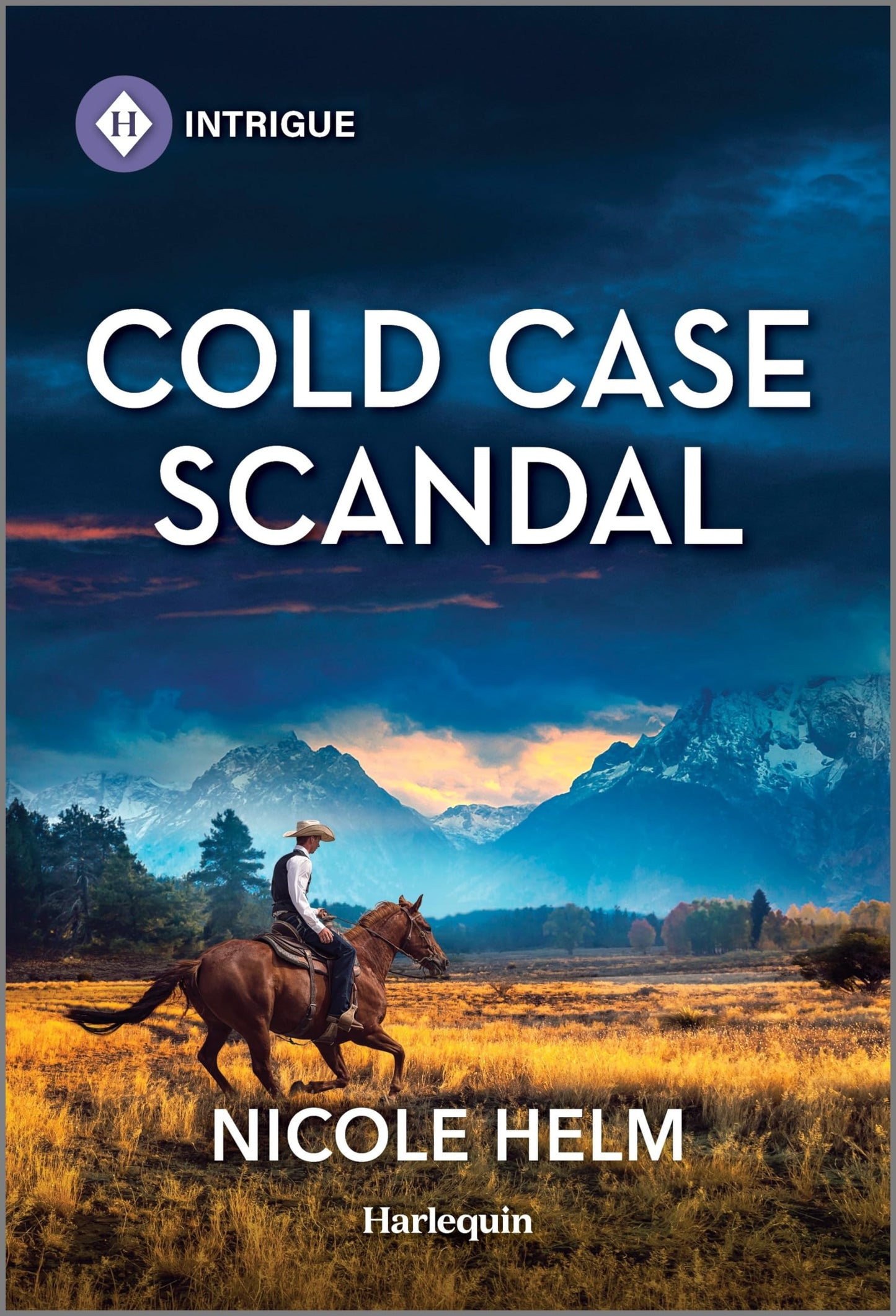 Cold Case Scandal (Hudson Sibling Solutions, 4) - 7181