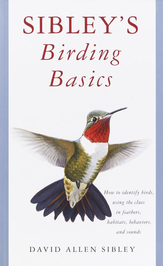 Sibley's Birding Basics: How to Identify Birds, Using the Clues in Feathers, Habitats, Behaviors, and Sounds (Sibley Guides) - 374