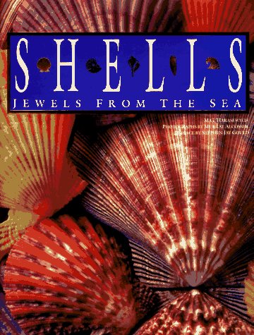 Shells: Jewels from the Sea - 841