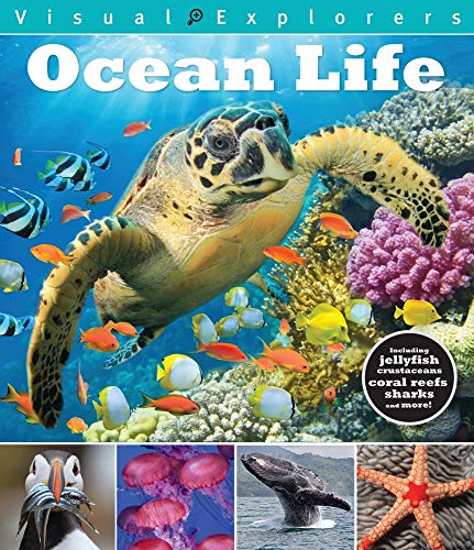 Ocean Life (Visual Explorers Series) - 534