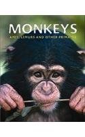 Monkeys: A Captivating Look at These Fascinating Animals - 5393