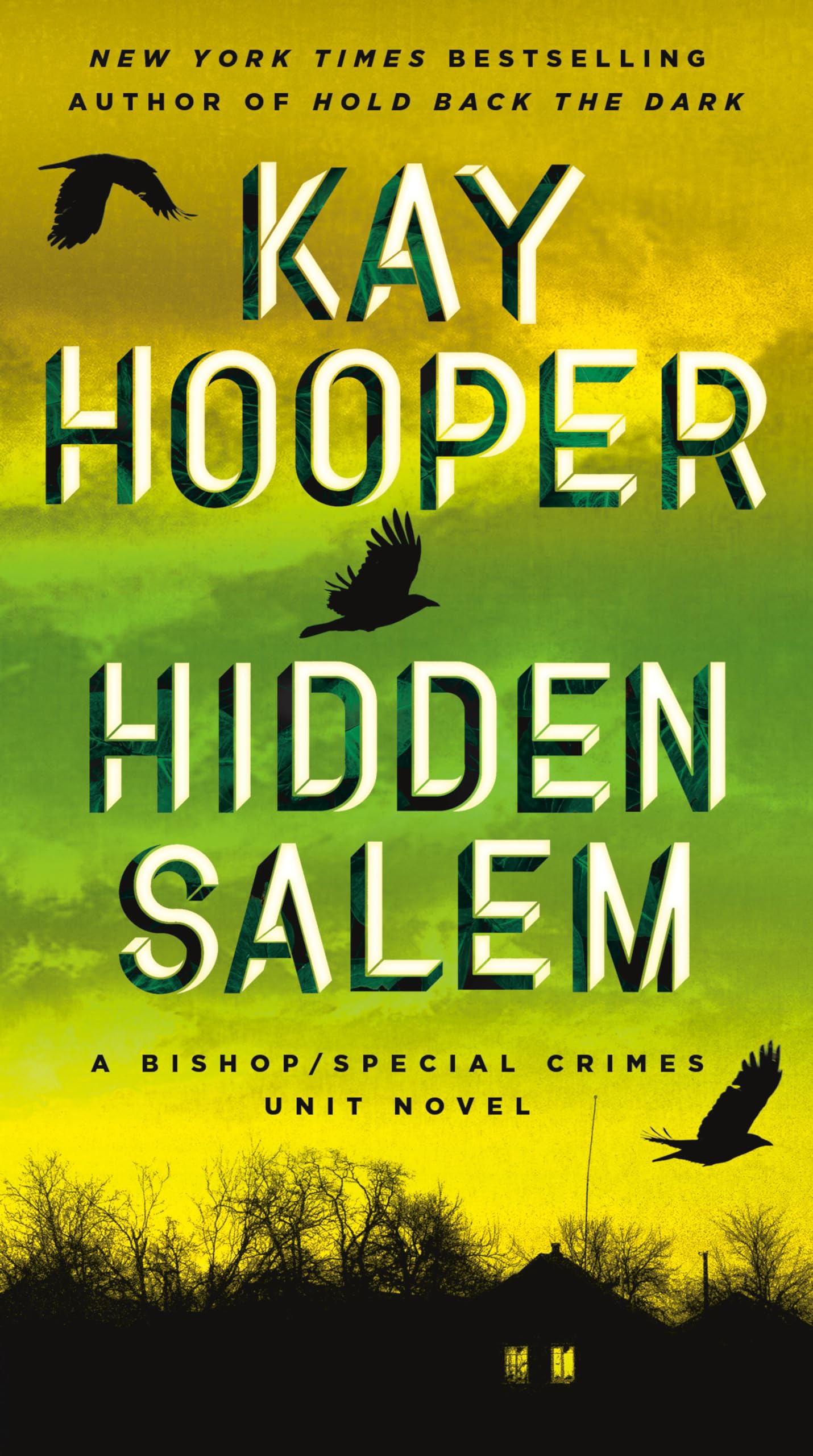 Hidden Salem (Bishop/Special Crimes Unit) - 6532