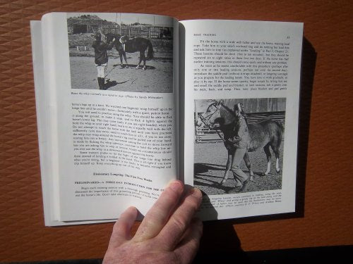 Basic Training for Horses (Doubleday Equestrian Library) - 9912