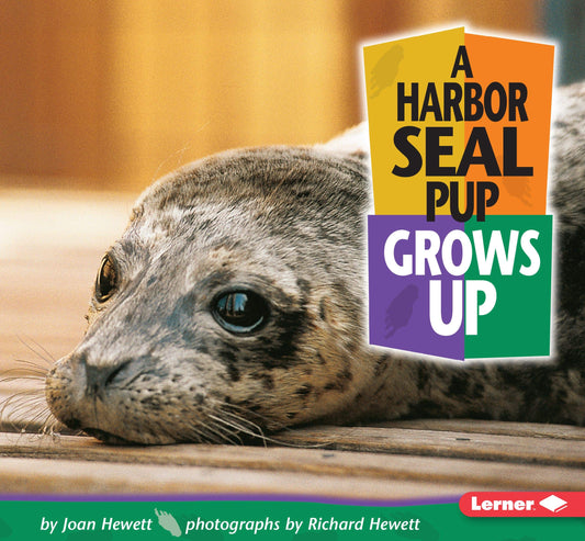 A Harbor Seal Pup Grows Up (Baby Animals)