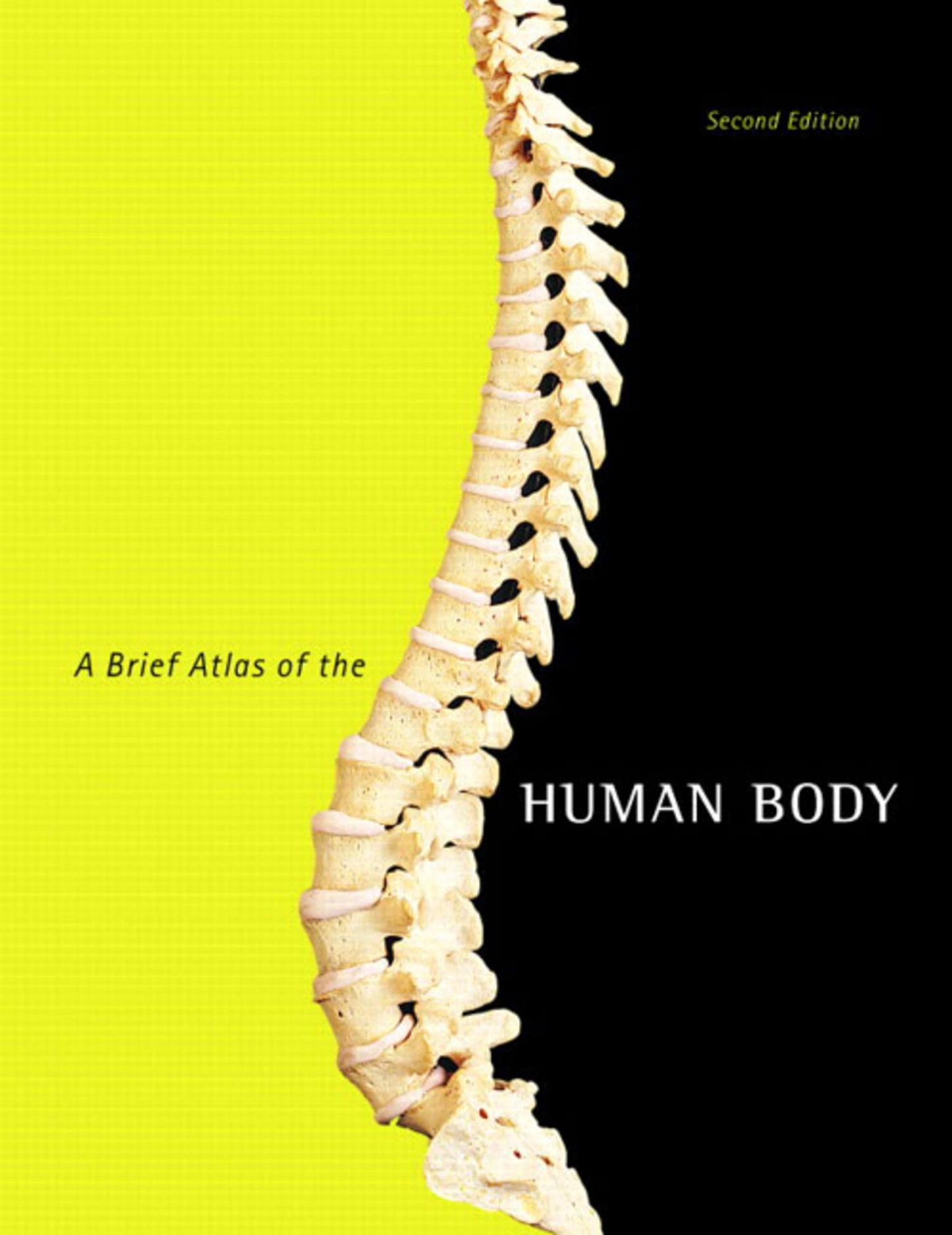 A Brief Atlas of the Human Body - 6513