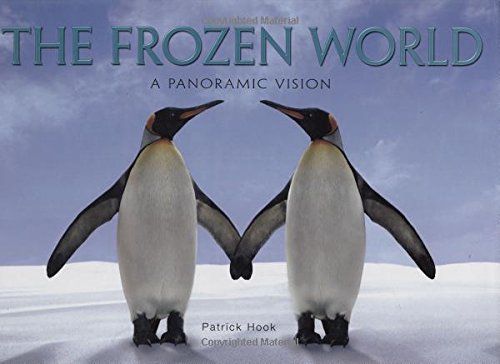 The Frozen World: A Panoramic Vision - 4783