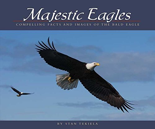 Majestic Eagles: Compelling Facts and Images of the Bald Eagle (Wildlife Appreciation) - 1854