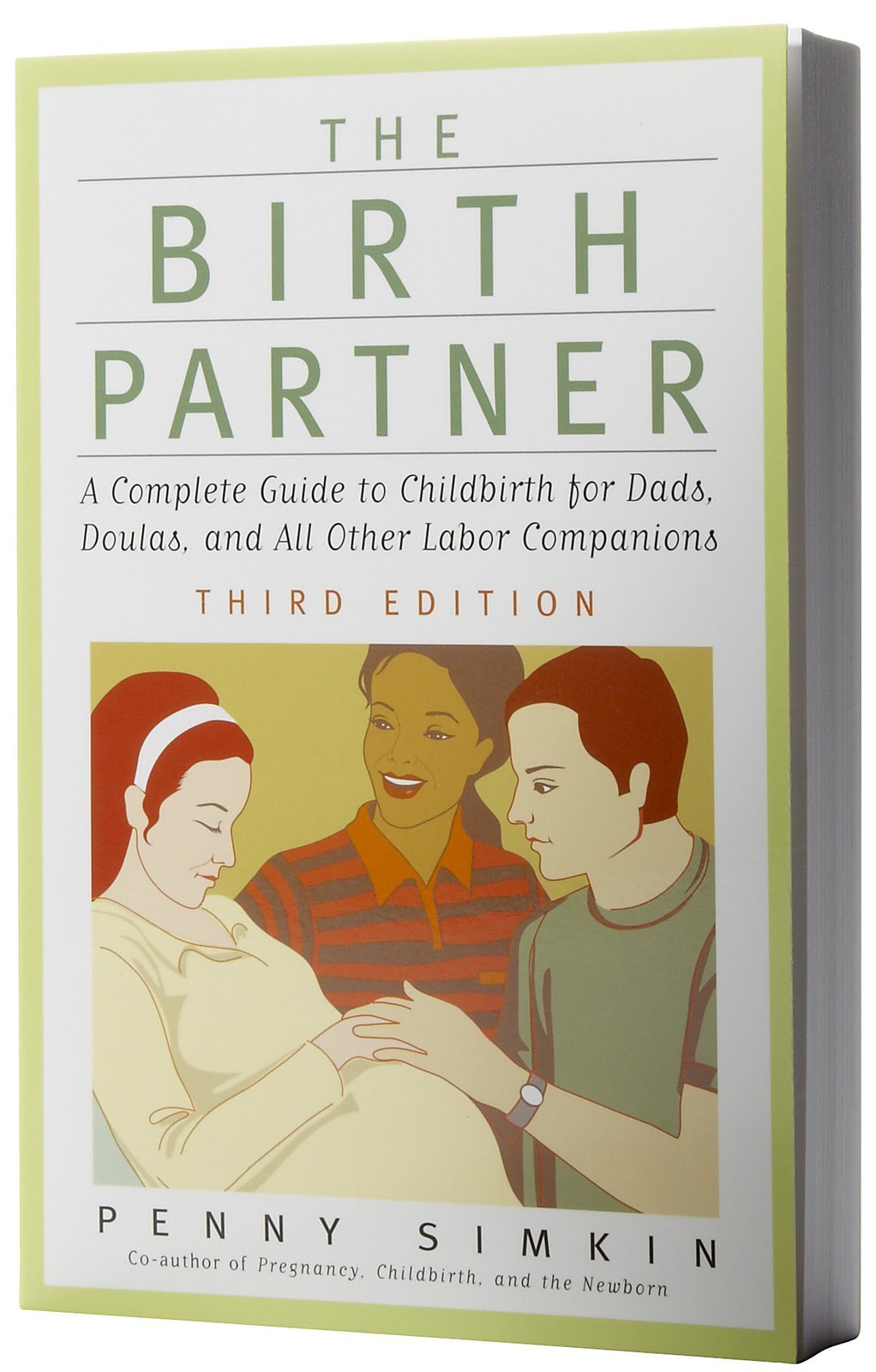 The Birth Partner - Revised 3rd Edition: A Complete Guide to Childbirth for Dads, Doulas, and All Other Labor Companions