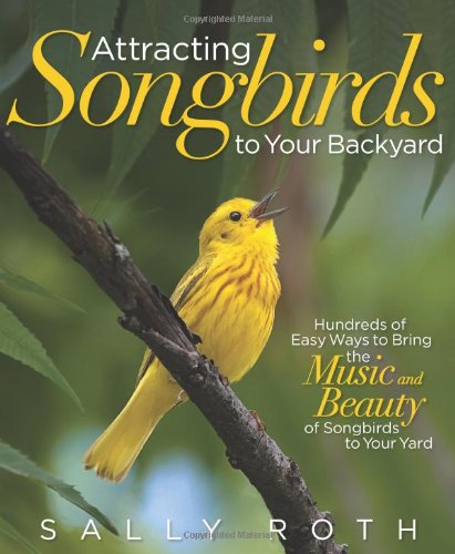 Attracting Songbirds to Your Backyard - 9840