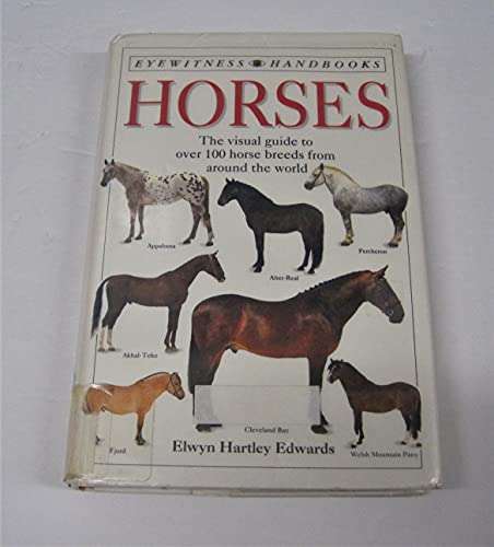 Horses - 7176