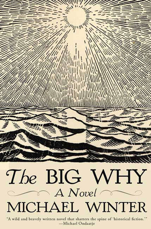 The Big Why: A Novel - 9258