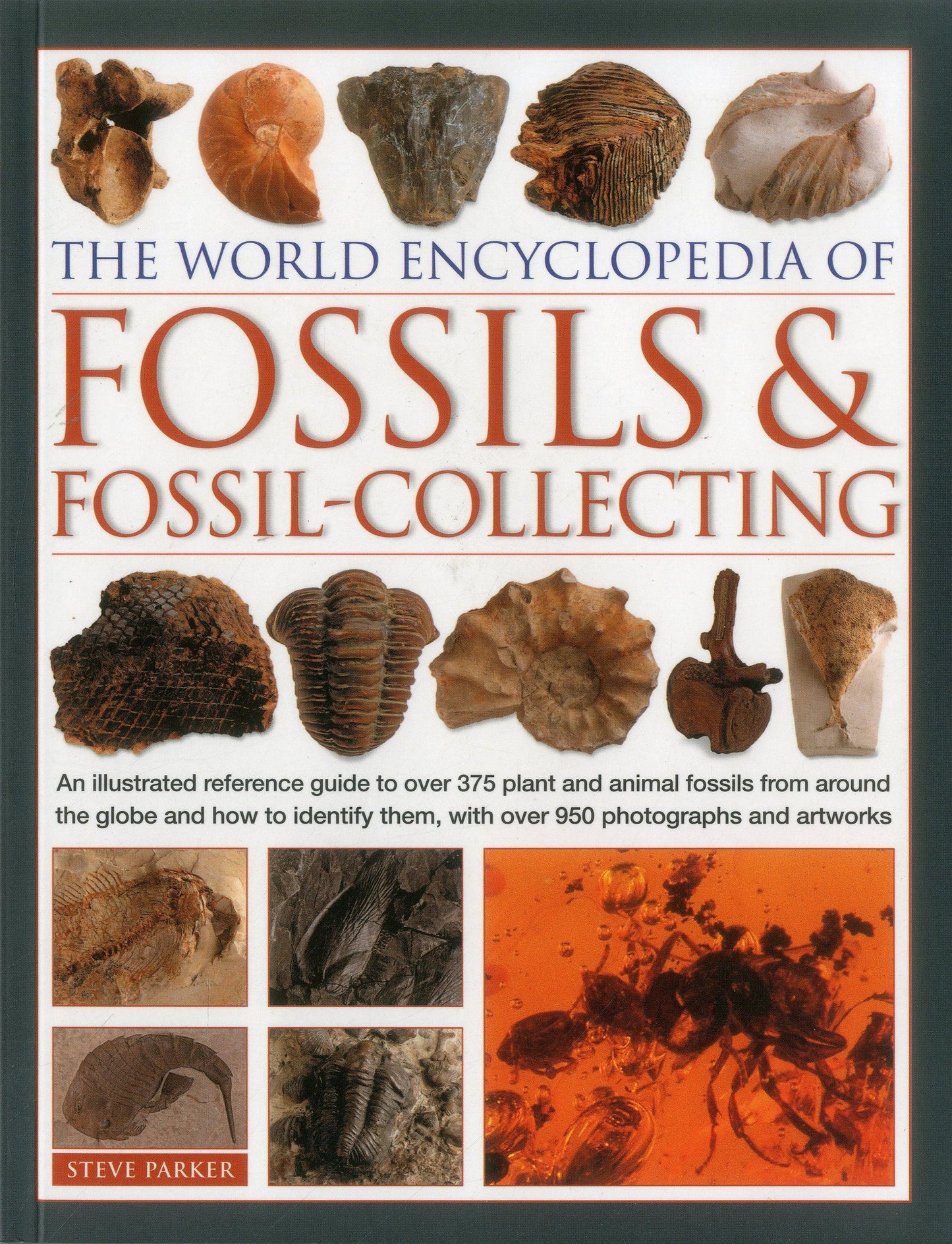 The World Encyclopedia of Fossils & Fossil-Collecting:: An Illustrated Reference Guide To Over 375 Plant And Animal Fossils From Around The Globe And ... Them, With Over 950 Photographs And Artworks - 3874