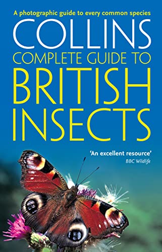 Collins Complete Guide to British Insects (Complete British Guides) - 7905