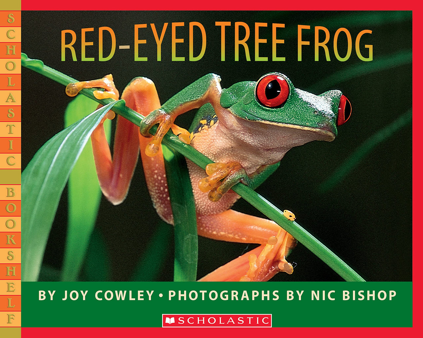 Red-eyed Tree Frog (Scholastic Bookshelf) - 5759