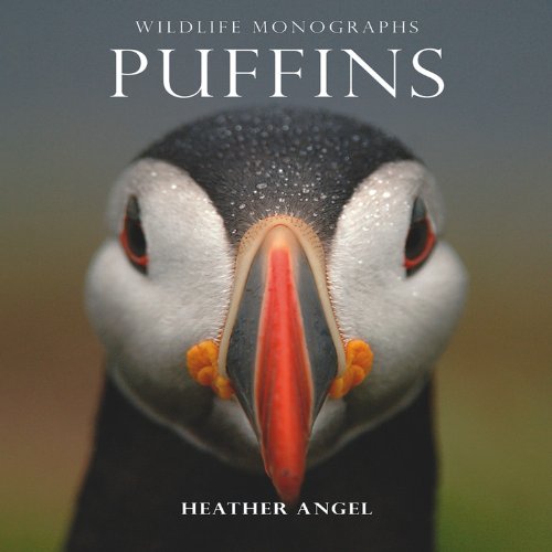 Wildlife Monographs:Puffins - 6992