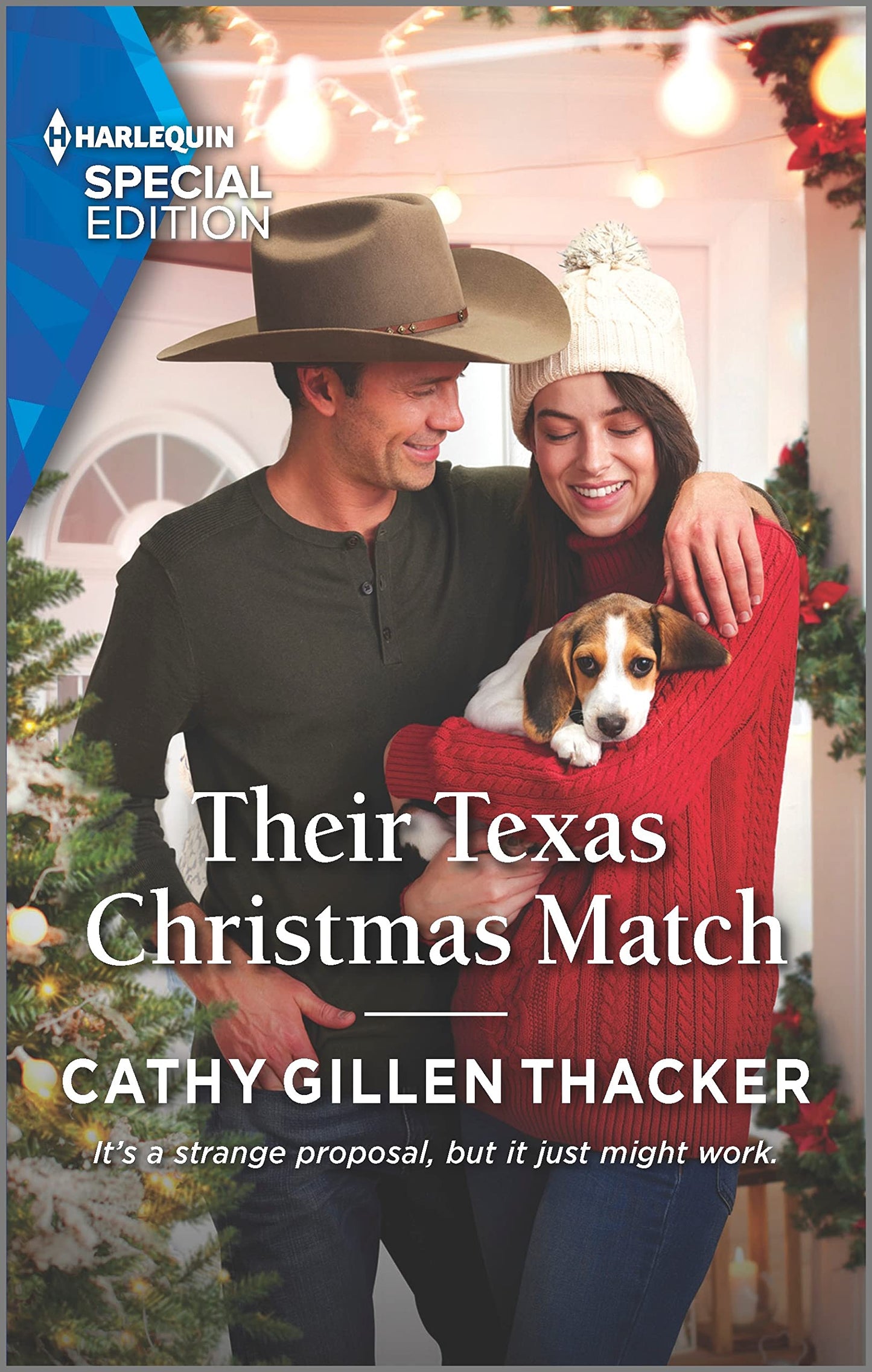 Their Texas Christmas Match (Lockharts Lost & Found, 7) - 6563