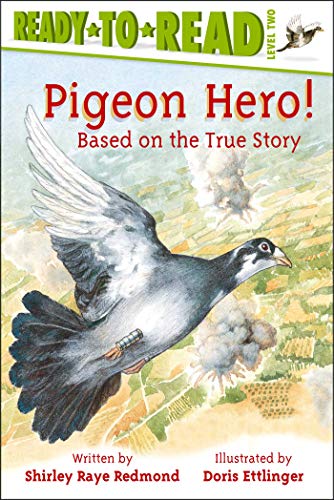 Pigeon Hero!: Ready-to-Read Level 2 - 5316