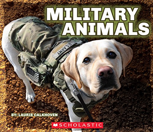 Military Animals With Dog Tags - 3611