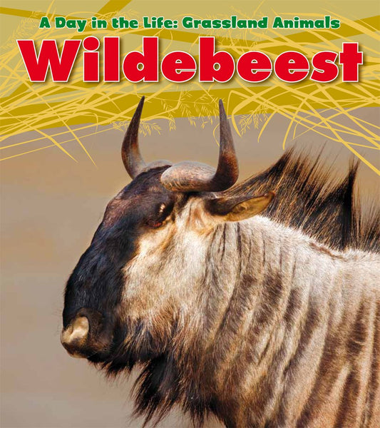 Wildebeest (Heinemann Read and Learn: A Day in the Life: Grassland Animals) - 9372