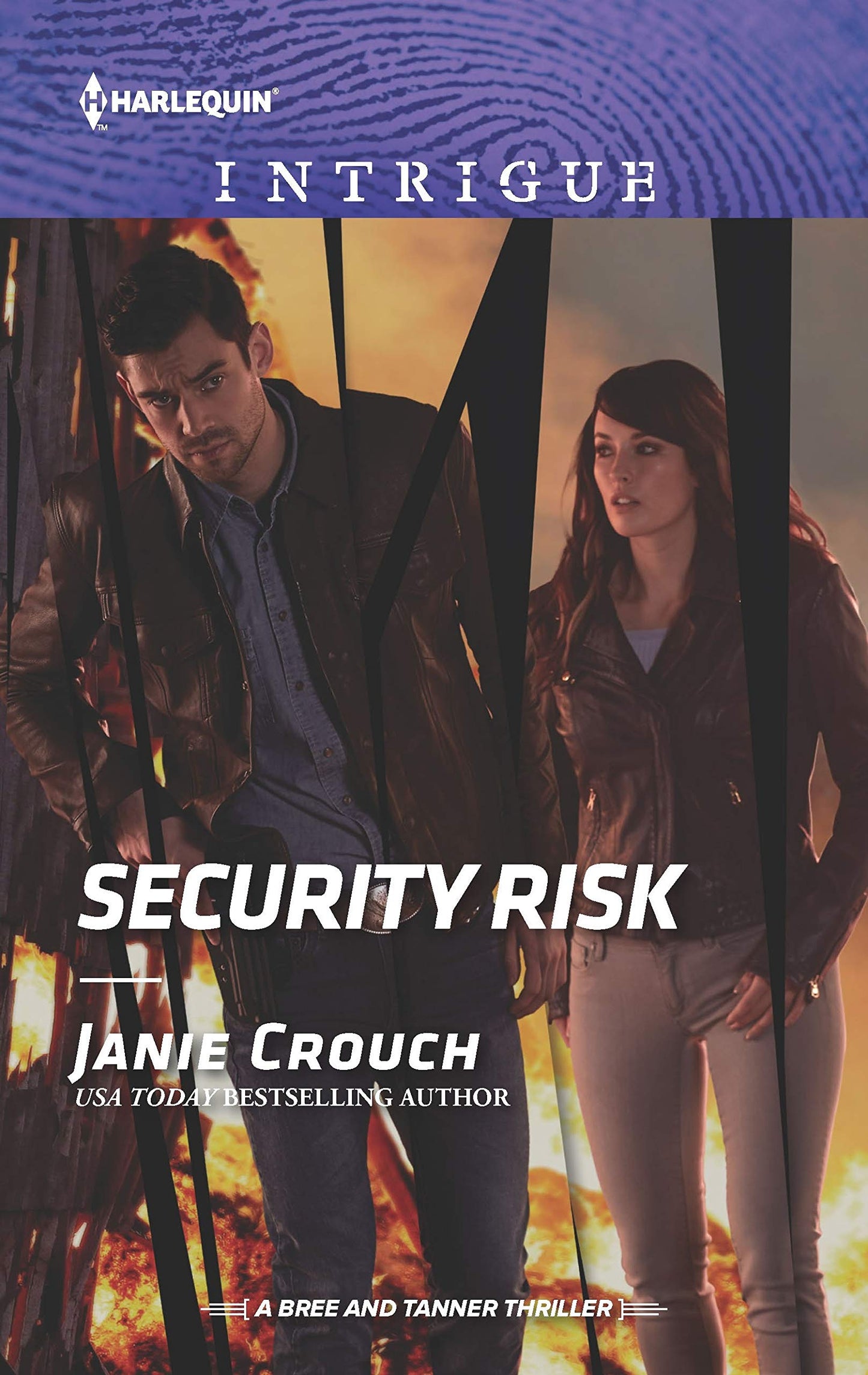 Security Risk (The Risk Series: A Bree and Tanner Thriller, 2) - 2