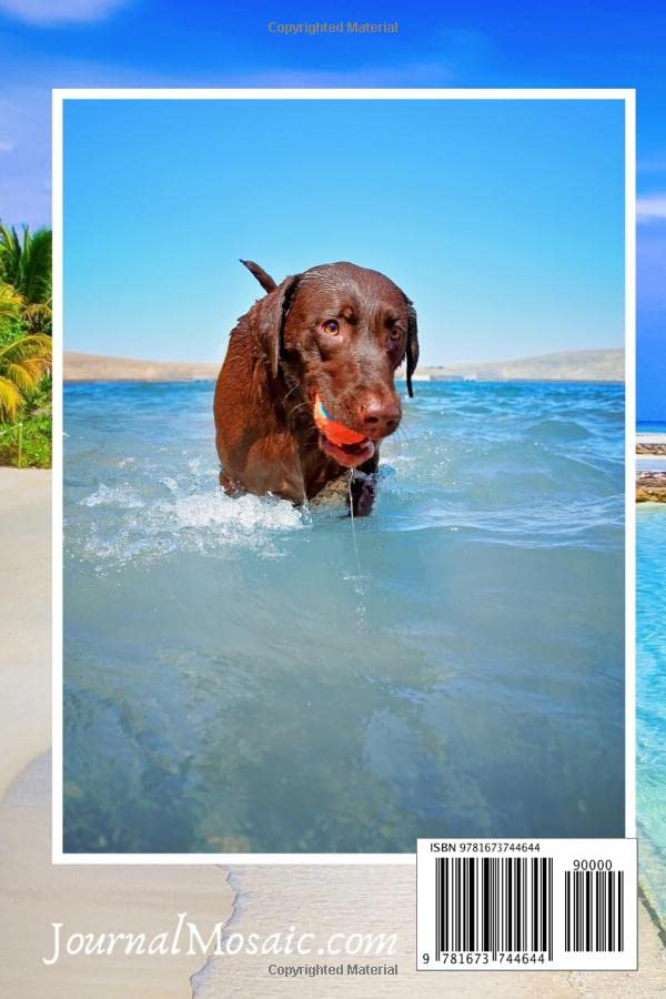 Chocolate Labrador Notebook: The COLOR Notebook For Dog Lovers (Chocolate Labs Notebooks) - 4891