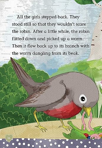 The Riddle of the Robin (American Girl: Welliewishers) - 750