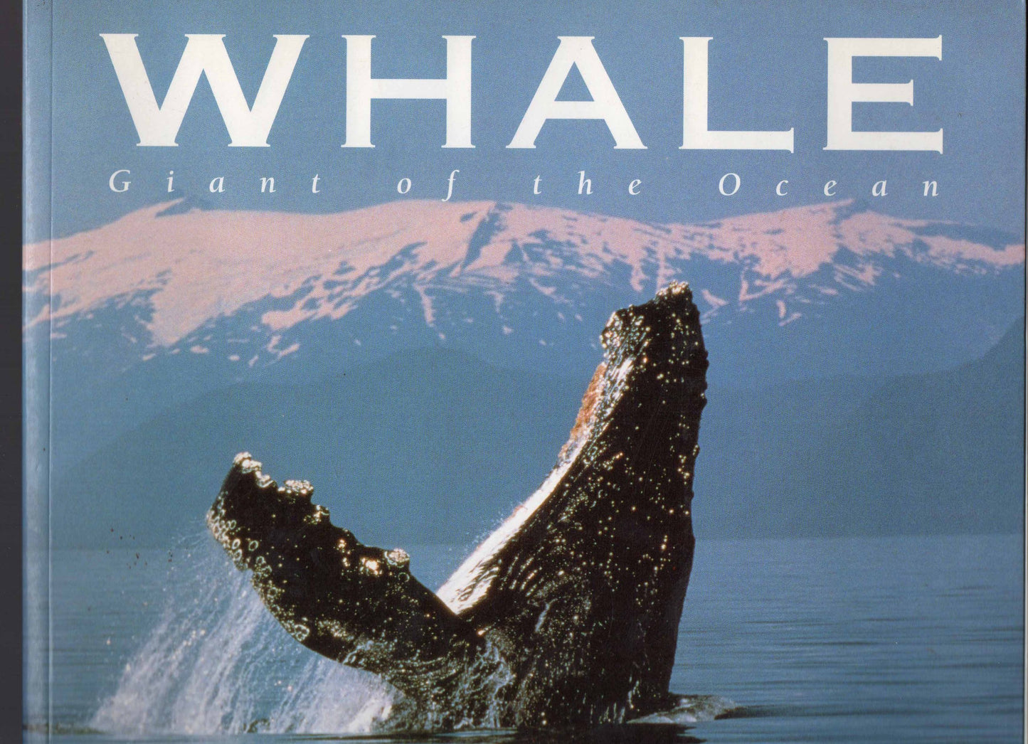 Whale: Giant of the Ocean - 9904