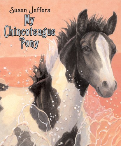 My Chincoteague Pony - 776