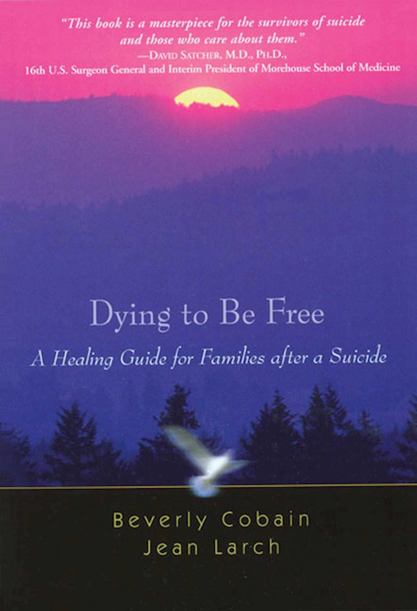 Dying to Be Free: A Healing Guide for Families After a Suicide - 1624