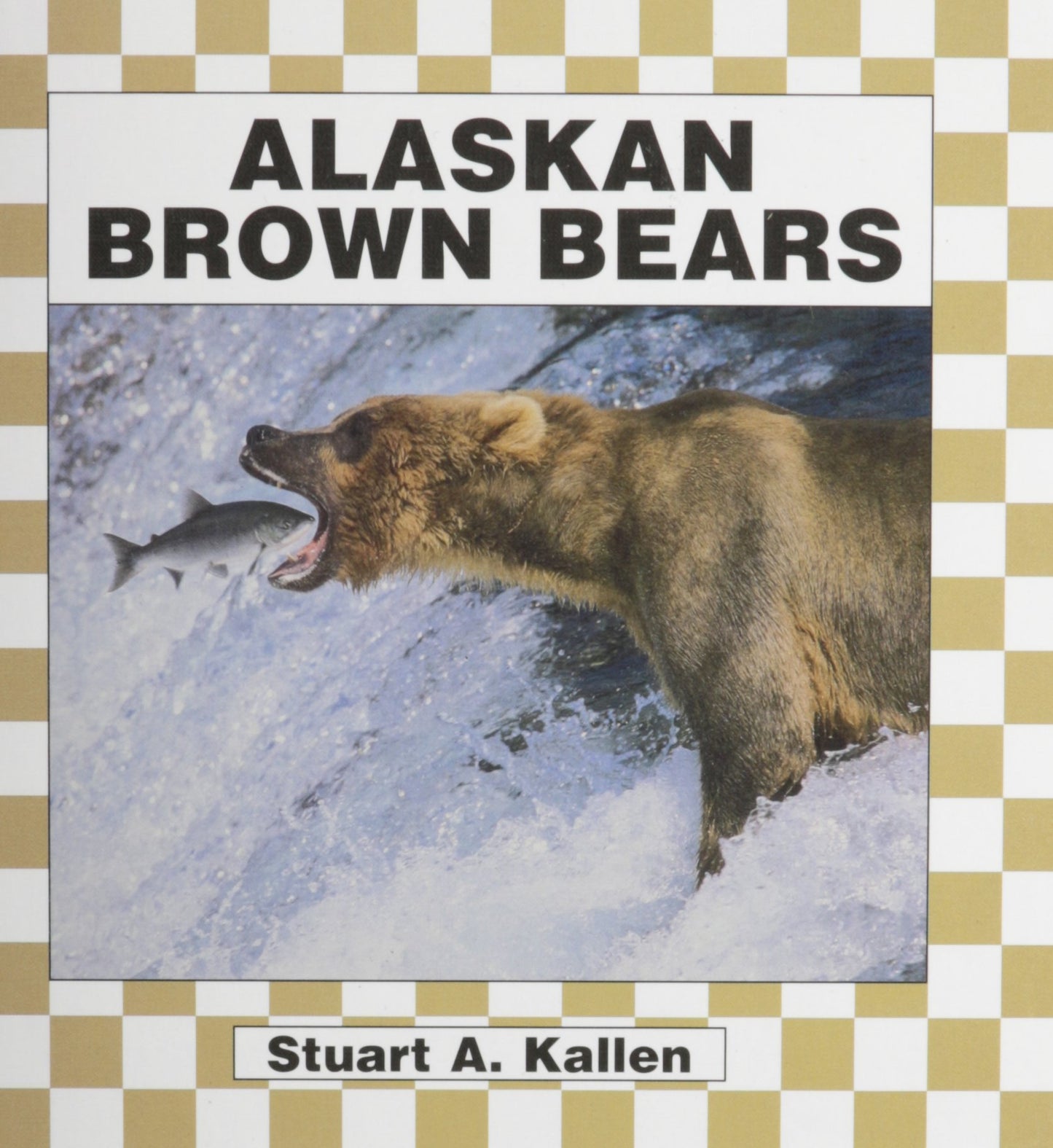 Alaskan Brown Bears - 7172