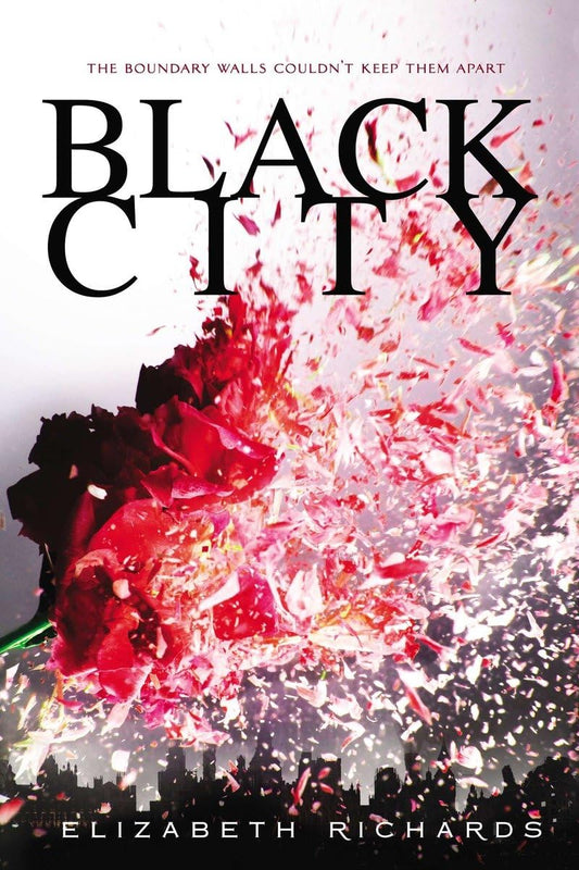 Black City (A Black City Novel) - 1330