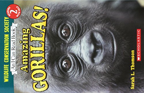 Amazing Gorillas! - 7819